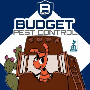 budget pest control logo